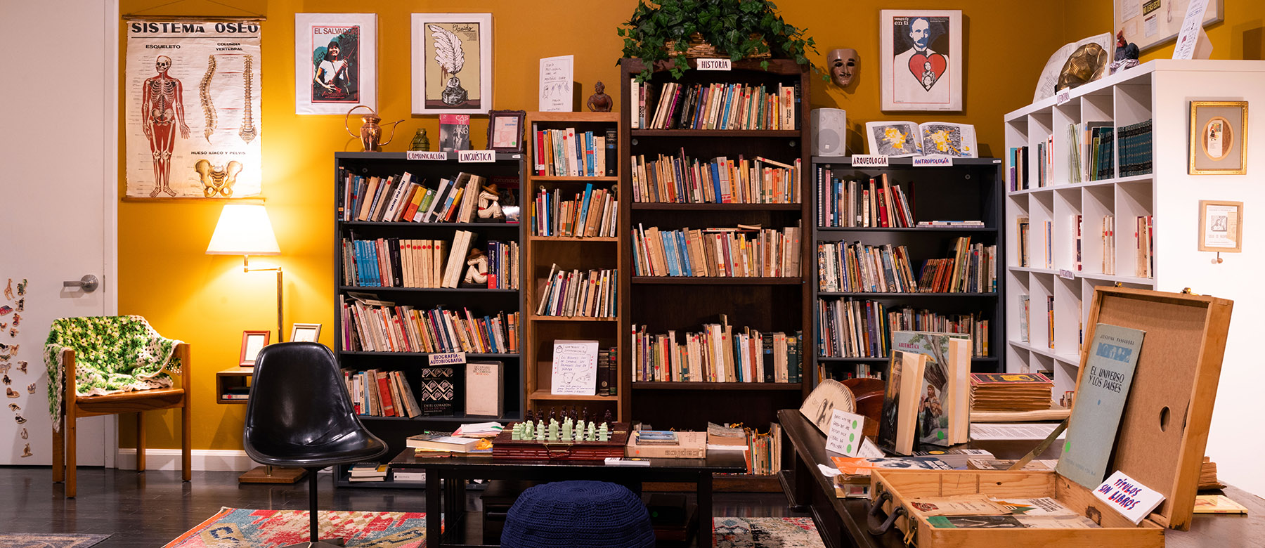 Librería Donceles