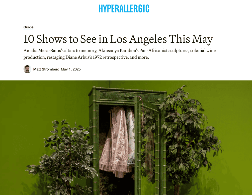 a screenshot of a Hyperallergic article