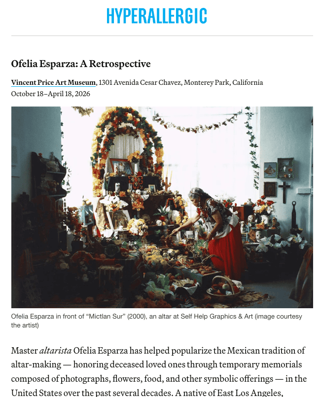 a screenshot of a Hyperallergic article